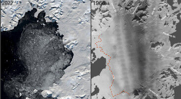 Gamle luftfotos giver forskere vigtigt nyt redskab til at forudsige havstigninger