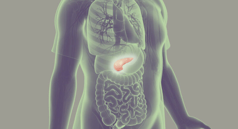 &rsquo;The past 20 years have seen virtually no progress in treatment for pancre