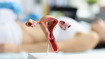 AI-supercomputer styrker forskning i kvinders sundhed