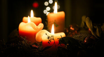 Din juledekoration gemmer m�ske p� en lillebitte smule gr�vling og skrubtudse