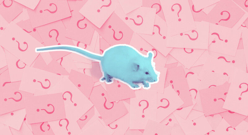 Life Sciences - Psychology