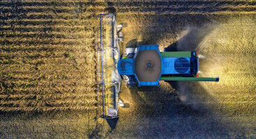 S�dan bruger planter ingeni�rprincipper til at tr�nge gennem h�rd jord