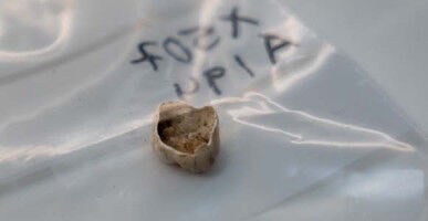 S�dan fik ark�ologer naturvidenskabelig hj�lp til at k�nsbestemme b�rn fra Middelalderen