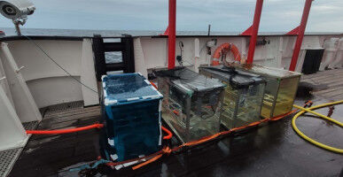 Sten og klipper fra landjorden kan f� havet til at optage og lagre store m�ngder CO2