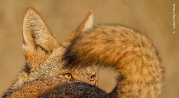 Vinterferieoplevelser p� universitetets museer